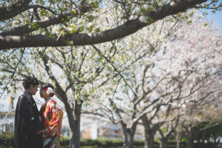 桜の世界に囲まれて♡