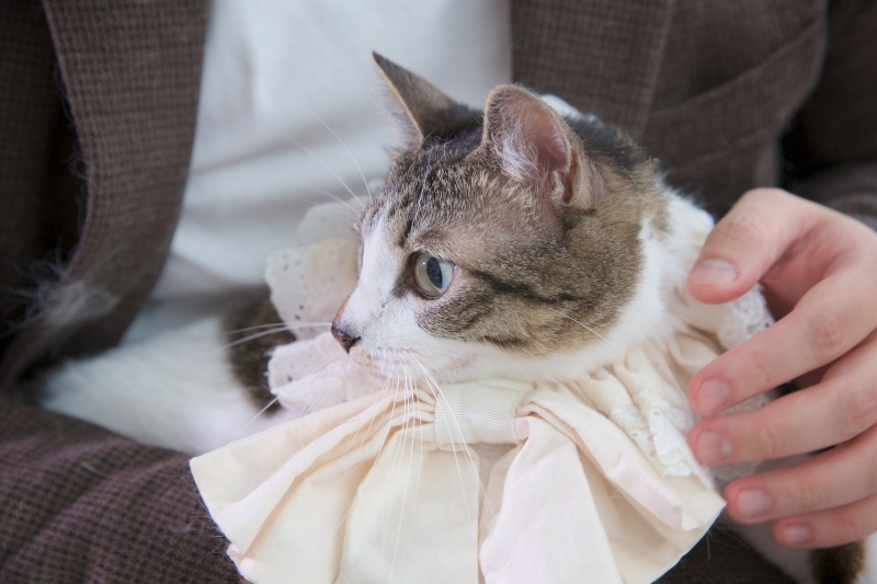 おめかしして♡