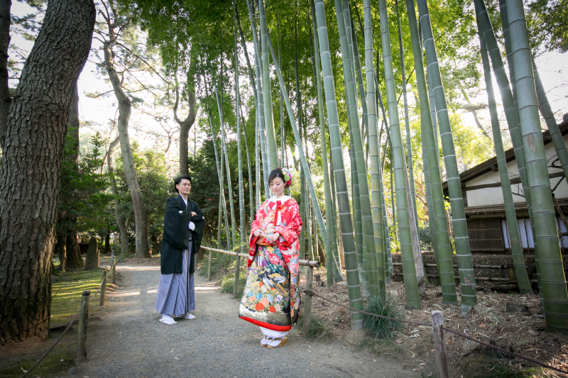 竹林でスタイリッシュに
