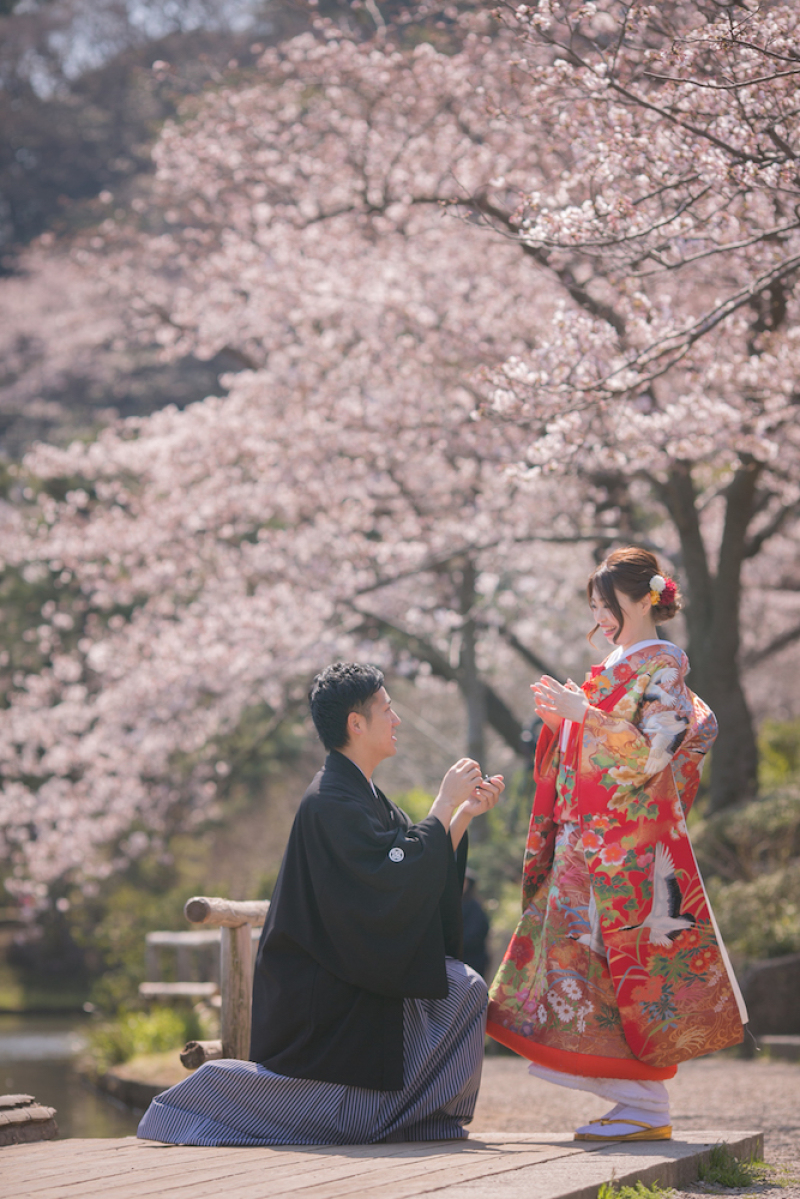 桜の中でプロポーズ！