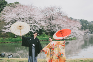 桜ロケーション