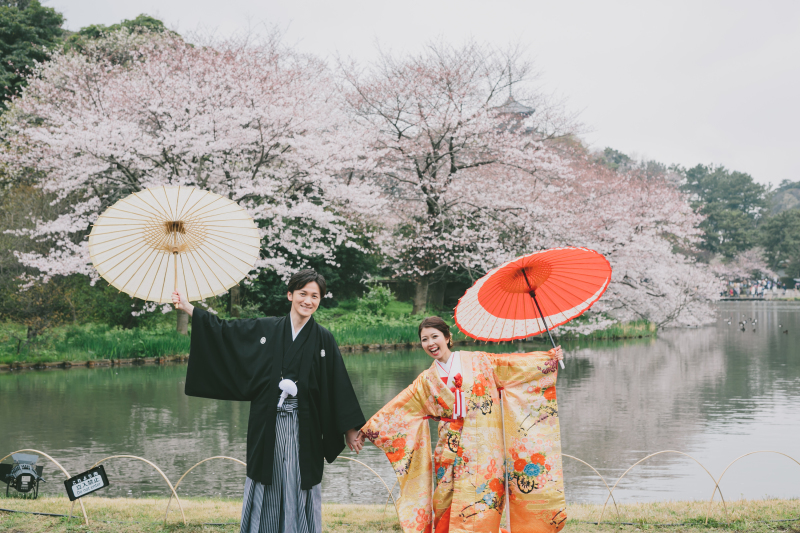 桜ロケーション