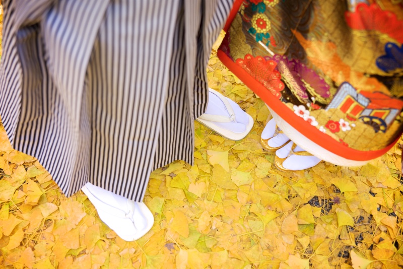 黄金色の絨毯♪