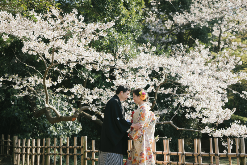 桜の前で