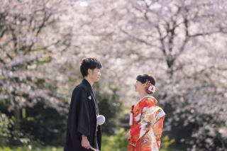 三渓園でお花見ロケ