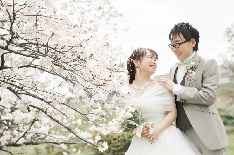 桜並木と大桟橋