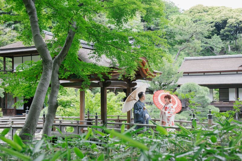 新緑の季節に