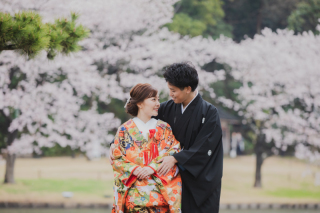 和装＊桜＊三渓園