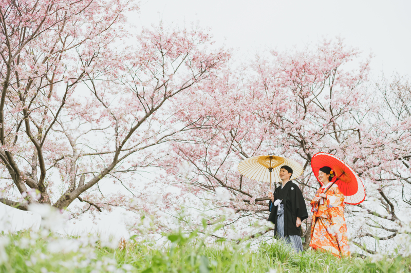 桜並木