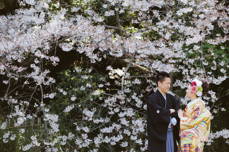 桜さきはじめの三渓園