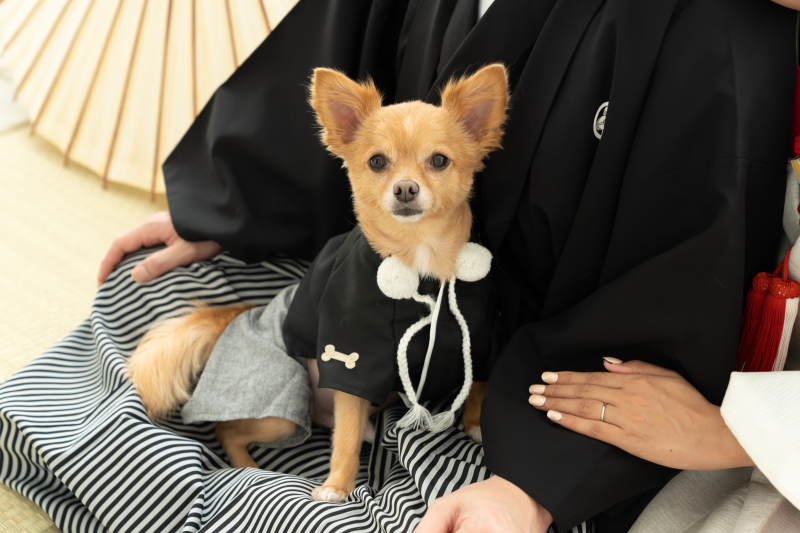 かわいいワンちゃん♡