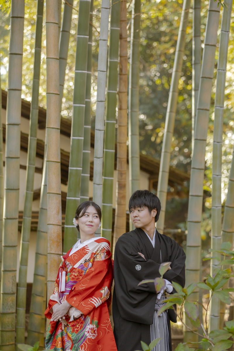 いろんな構図を試しながら撮影していきましょう！