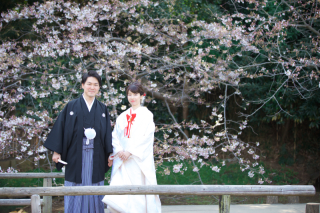 ロケーション　和装（桜）