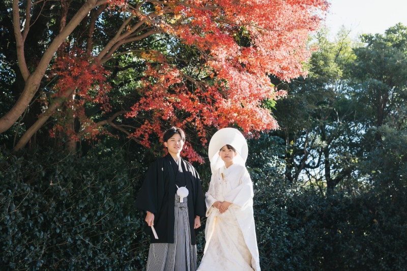 紅葉とお着物の色のコントラストが素敵です！