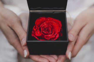 大自然の緑に囲まれてin三渓園