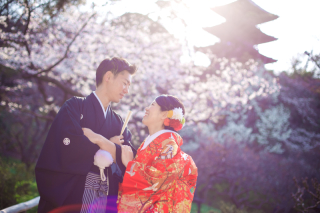 桜ロケーションフォト