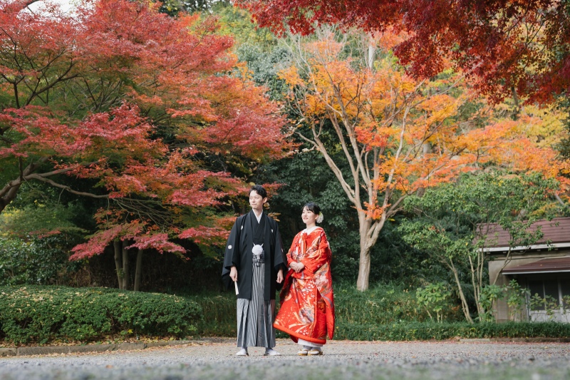 紅葉撮影は三溪園で*