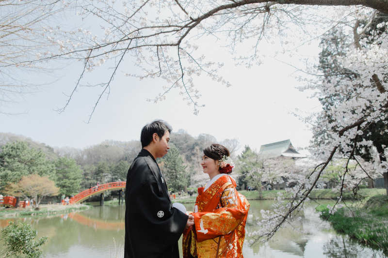 桜ロケーションフォト