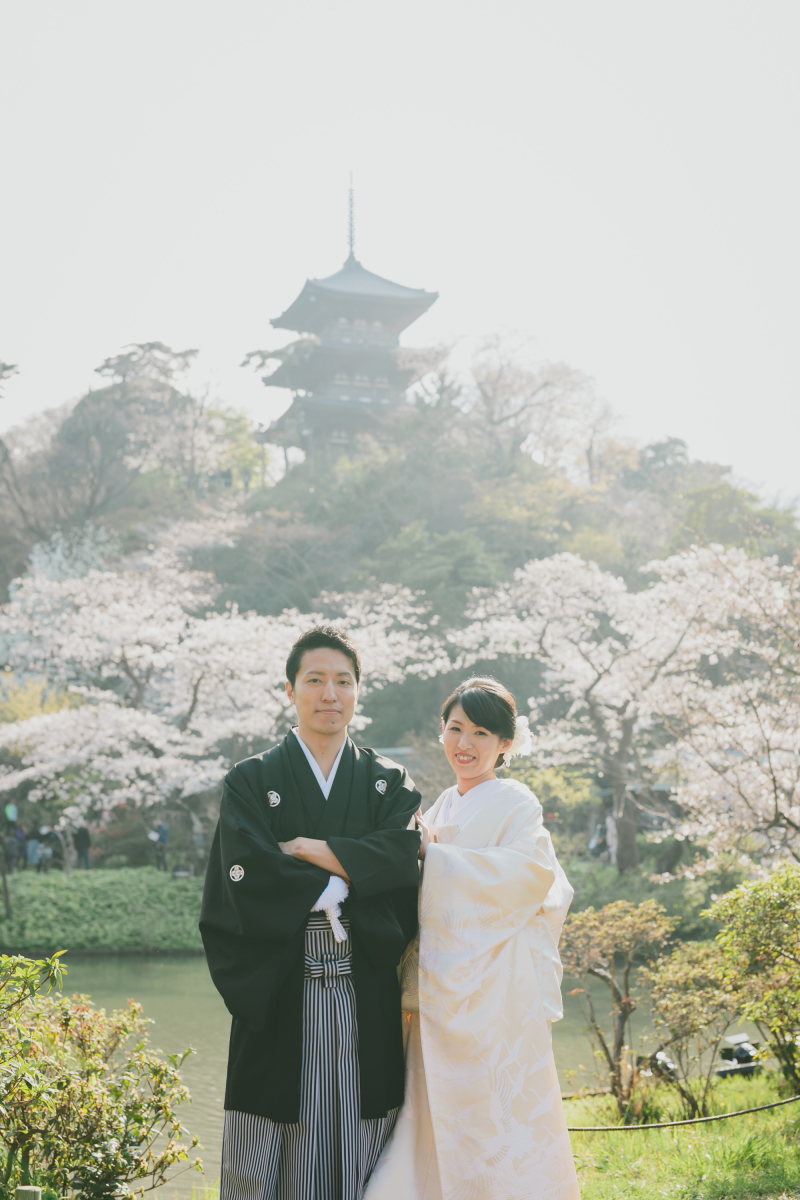 桜ロケーションフォト