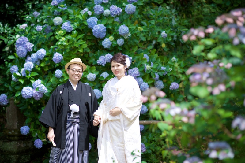 紫陽花に囲まれて