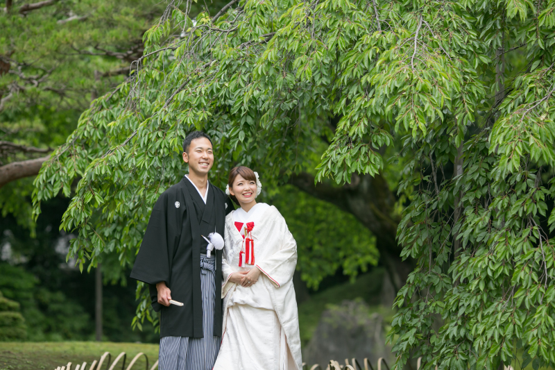 新緑まっただ中