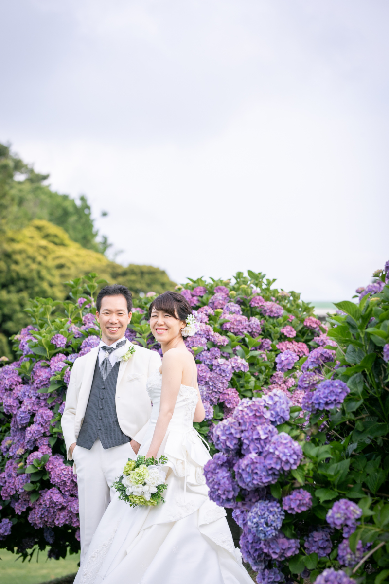 紫陽花、満開！