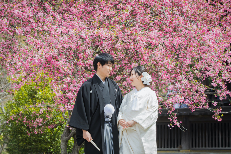 満開の桜