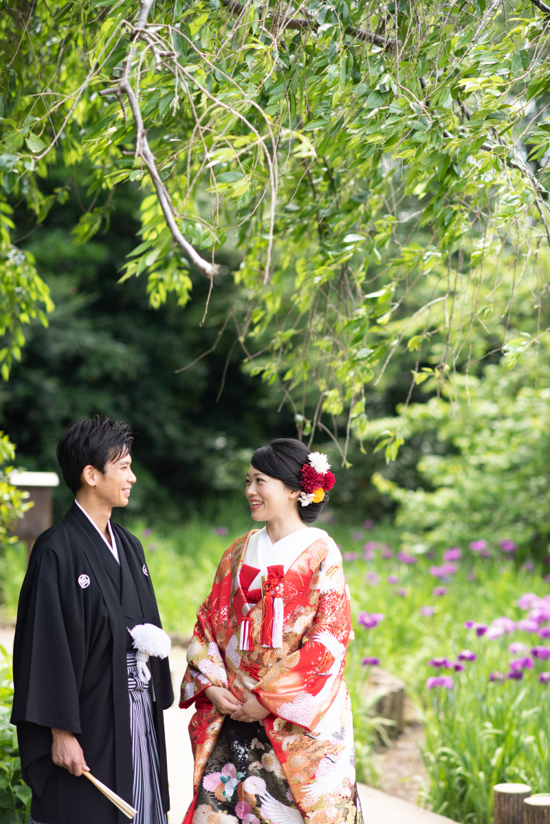 菖蒲の花をバックに