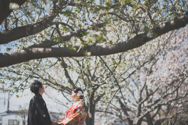 向き合って