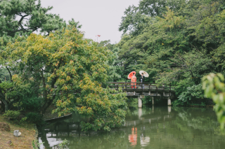 大自然の三渓園♪