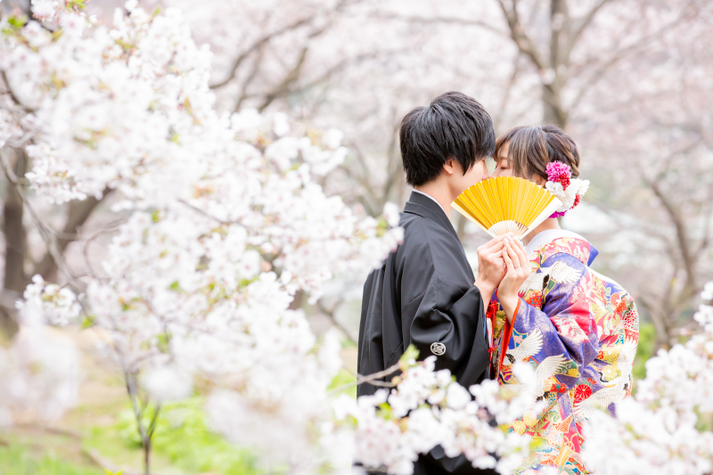 桜に囲まれて