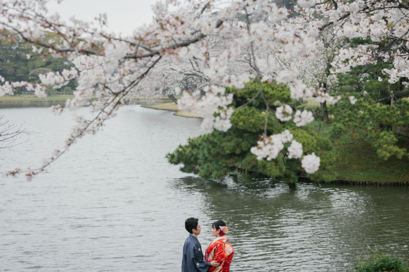 桜と池