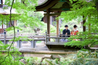 緑豊かな三溪園