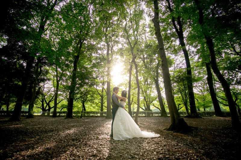 差し込む光をバックに