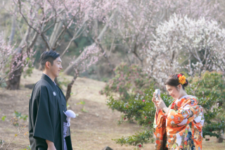 三渓園＊梅撮影