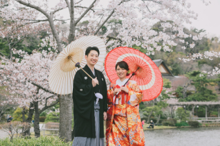 桜　ロケーションフォト