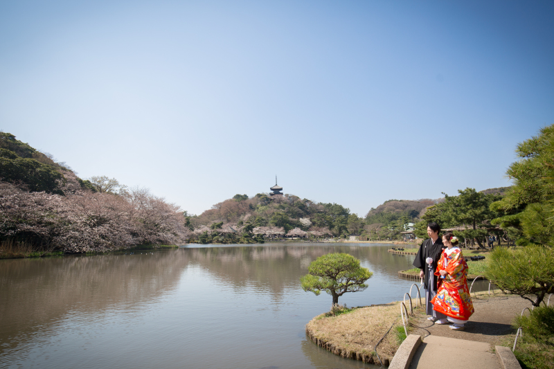 真っ青な青空とのコントラスト