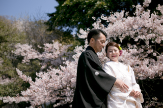 桜サウザン＠三渓園