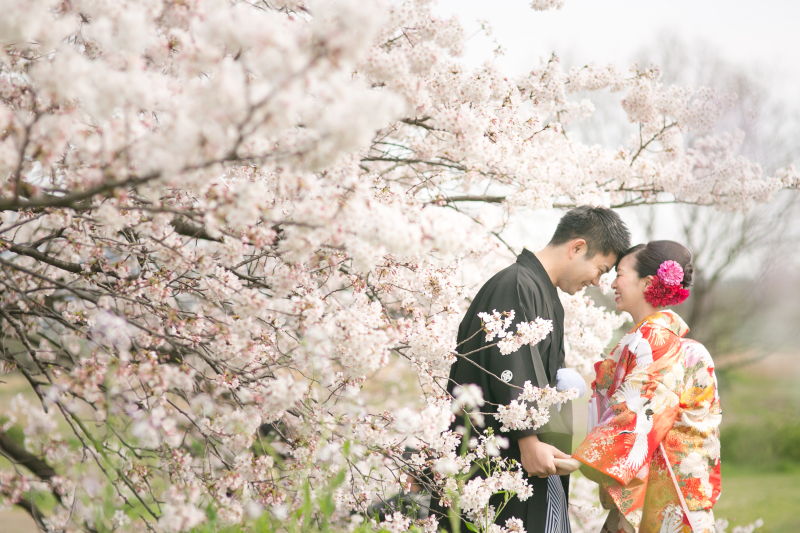 桜にかこまれて