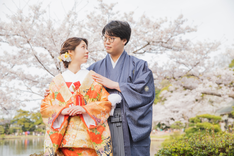 桜満開の三溪園