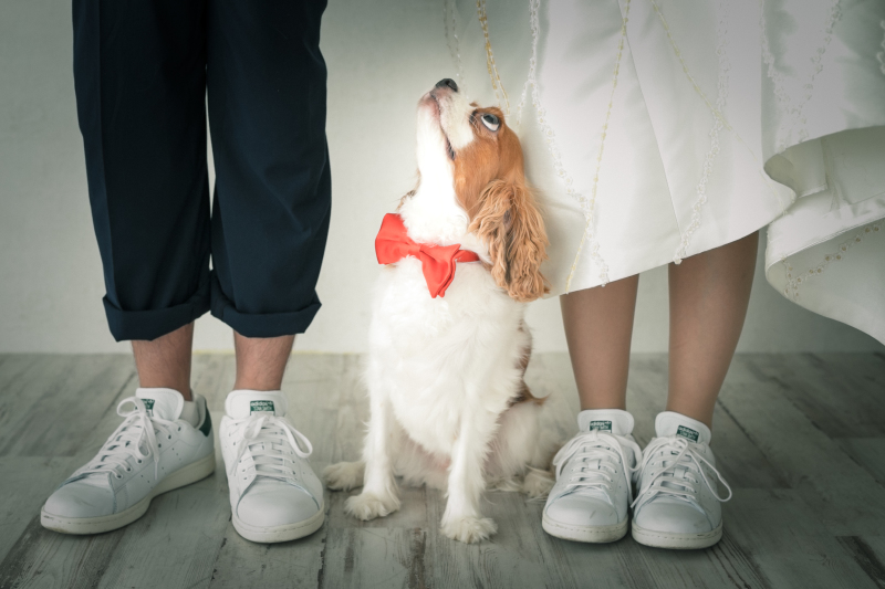 お揃いシューズを撮っていたら・・・