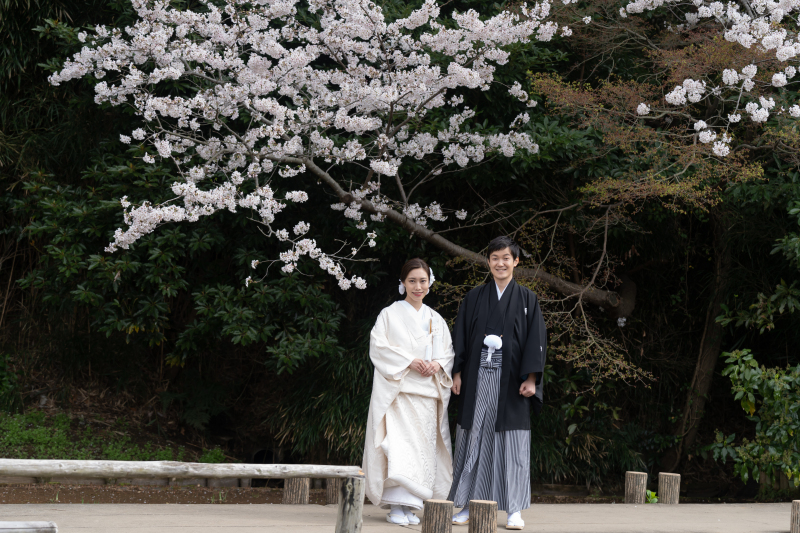 桜でもまた違った雰囲気を