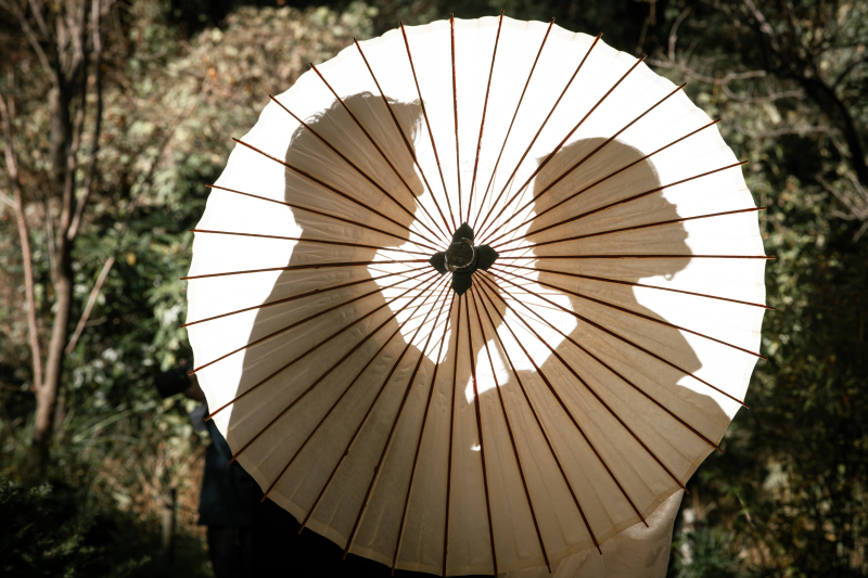 シルエットショット