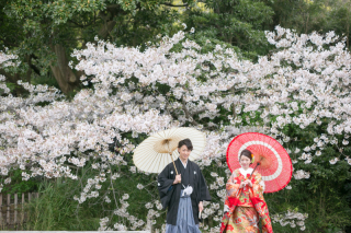 和装ロケーション＠三渓園