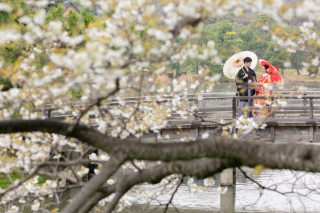 ロケーション　和装