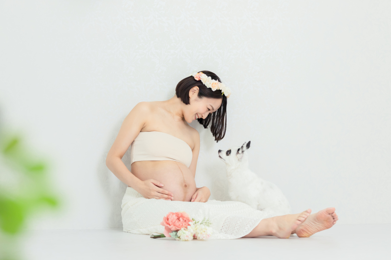 マタニティフォトは¥33,000〜