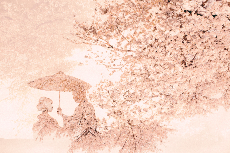 得意とする多重露光のカット