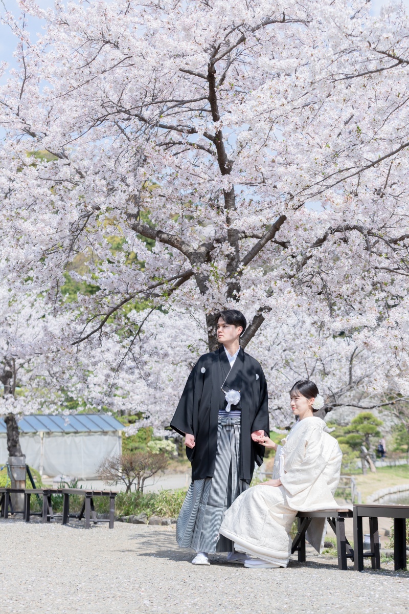 ご予約スタート!【桜】三渓園プラン◆ゆったり90分間撮影・ご新婦様ヘア&メイク・お着付け・ご移動費・申請料金・全データ込み