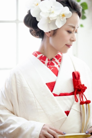 刺繍襟(赤地・鶴)