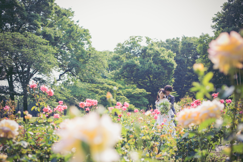 自然たっぷり！